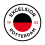 Excelsior Rotterdam JO13-1 logo