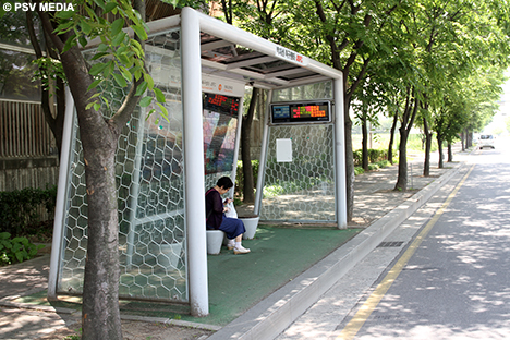 박 지성의 특별한 고향 방문