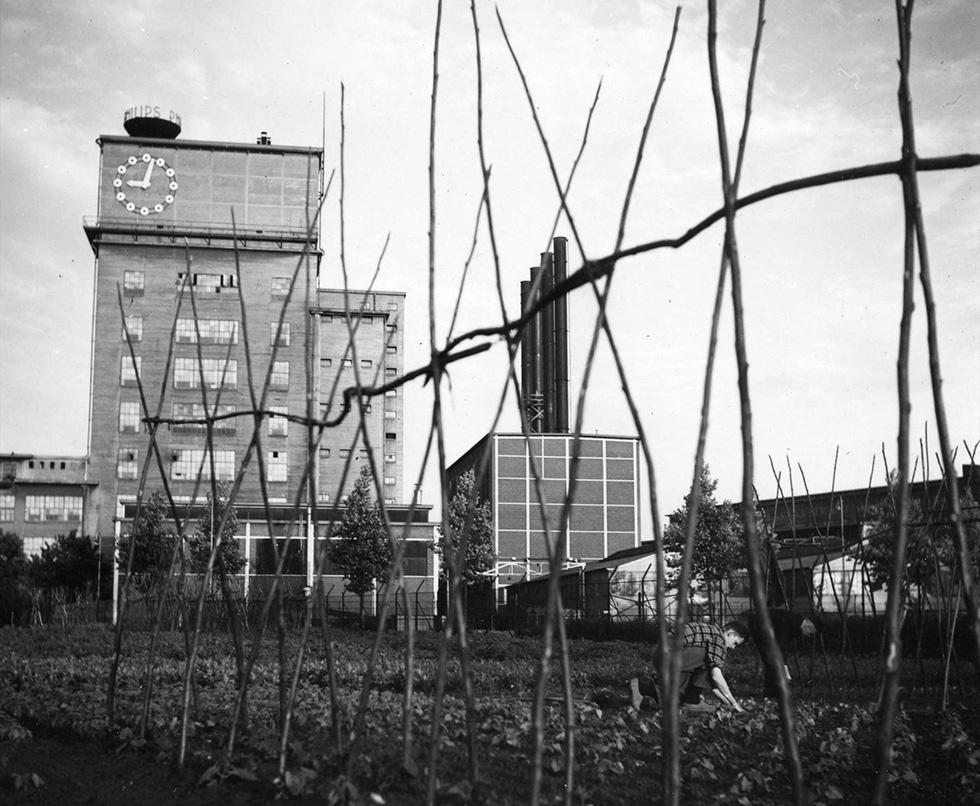 E&eacute;n van de volkstuinen die Frits aan zijn personeel 'geeft' bevindt zich nabij het Klokgebouw | &copy; Philips Company Archives