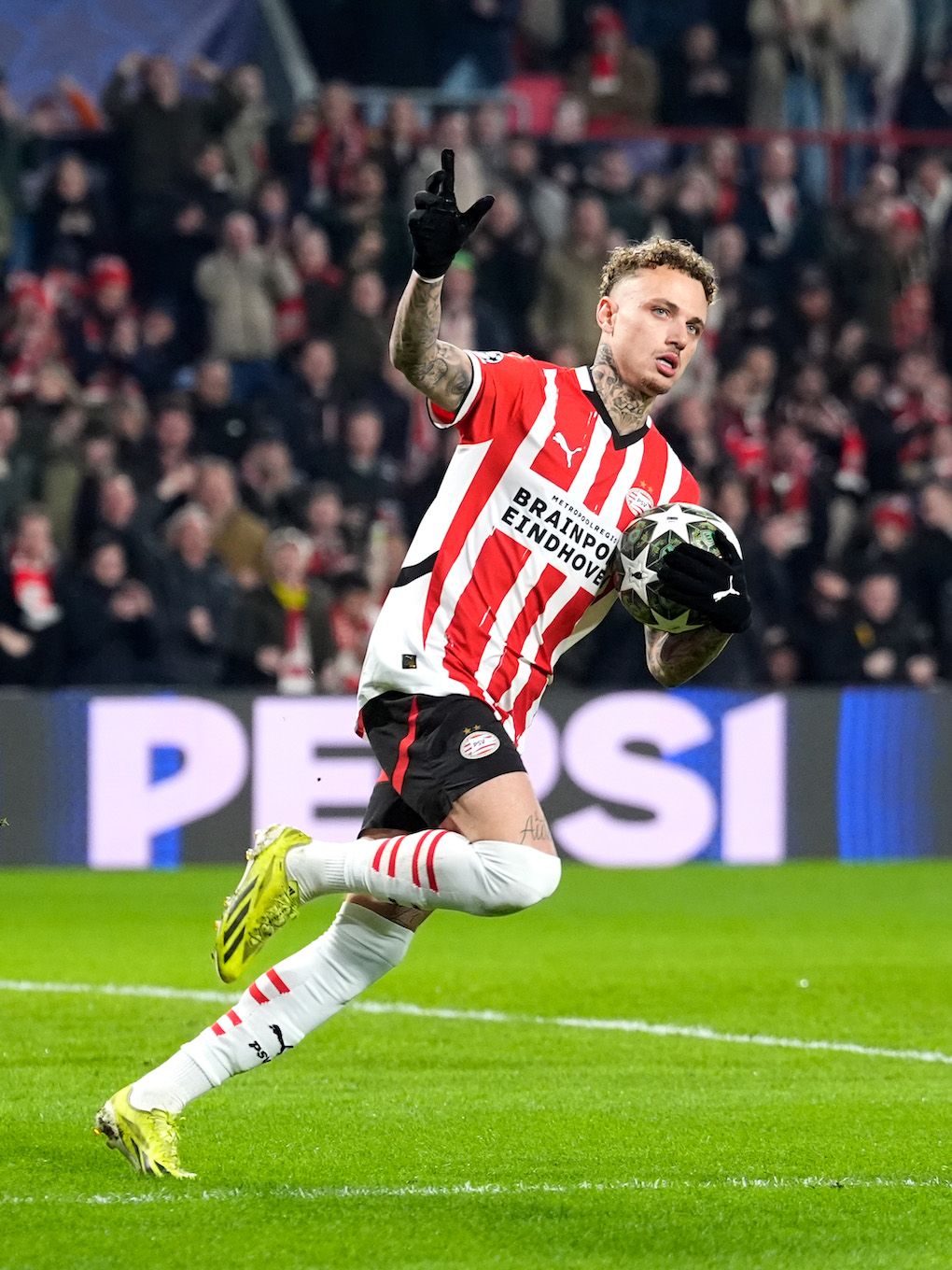 Nieuw Tijdlijn content