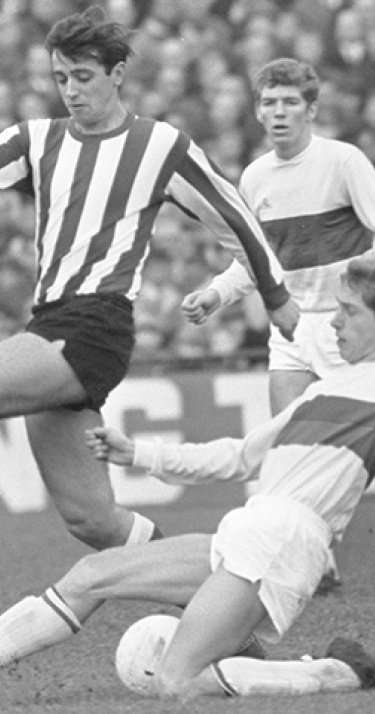 Mister PSV, in gouden letters met krullen omrand