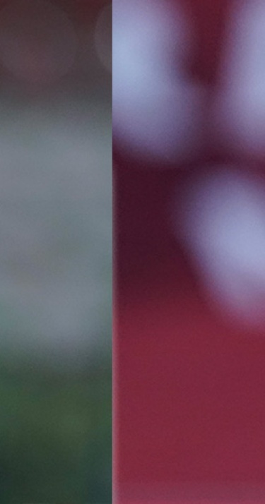 Een uniek systeem: Delanghe en Müller om en om eerste en derde keeper