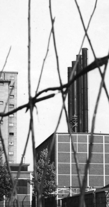 Een topjaar voor PSV