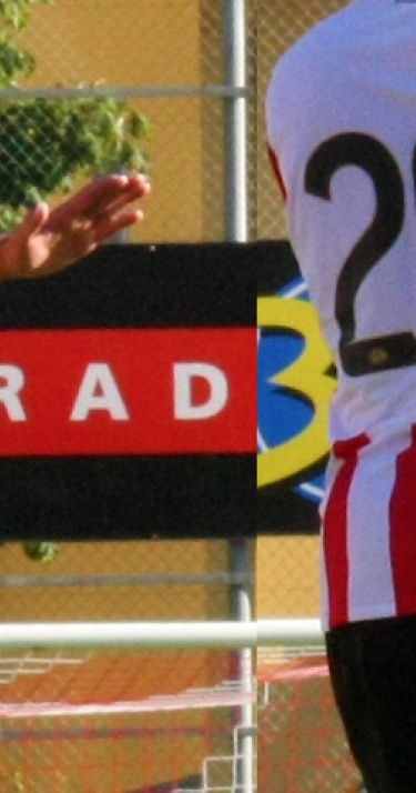 Rugnummers PSV 2015-2016