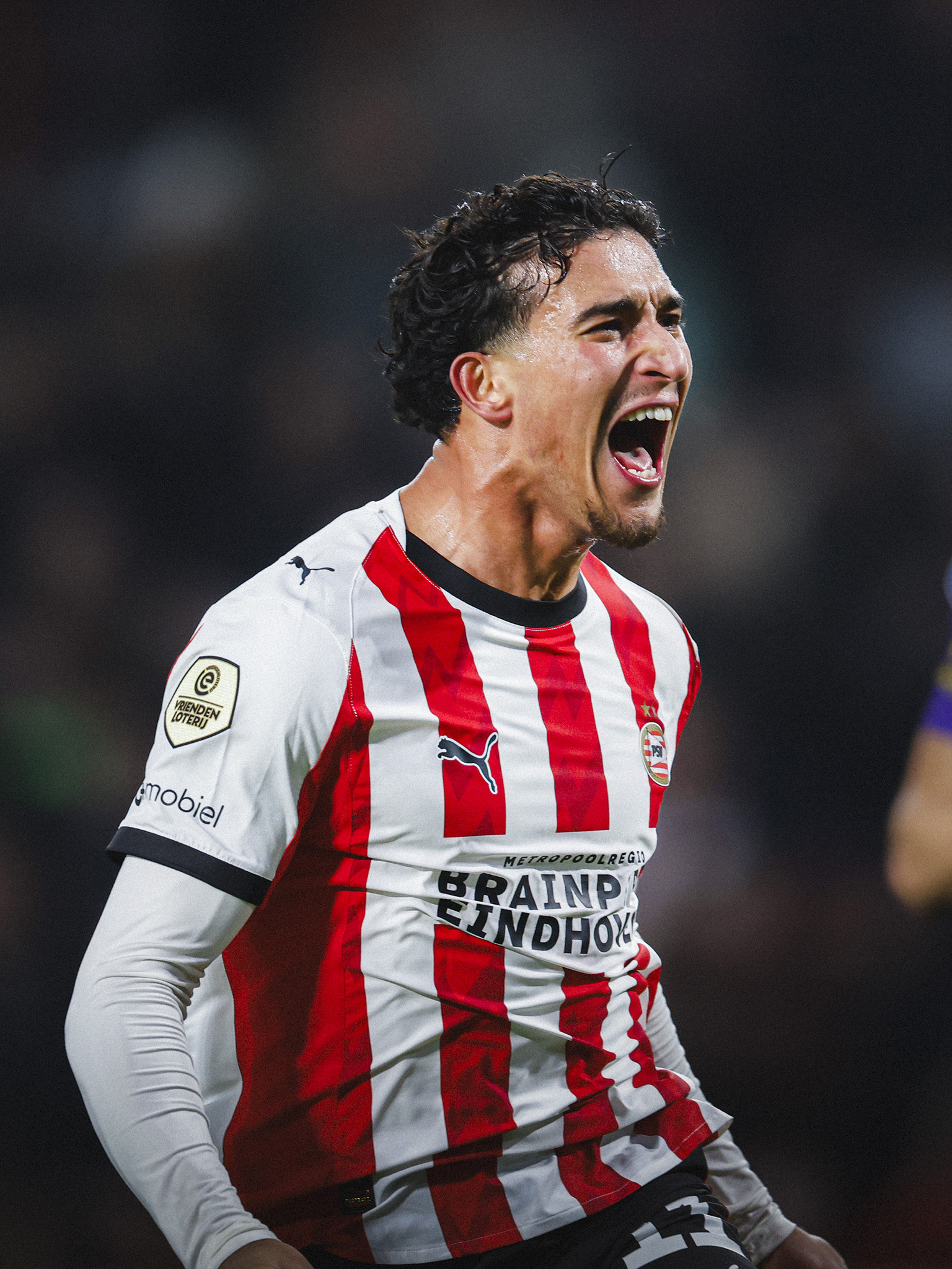 Nieuw Tijdlijn content