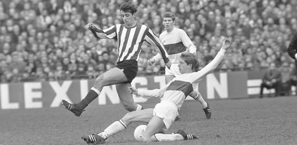 PSV - Mister PSV, in gouden letters met krullen omrand