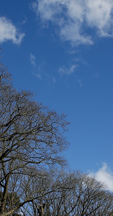 Wat weet jij over PSV&rsquo;ers in het Nederlands Elftal?