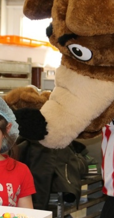 Taartje bakken met Phoxy