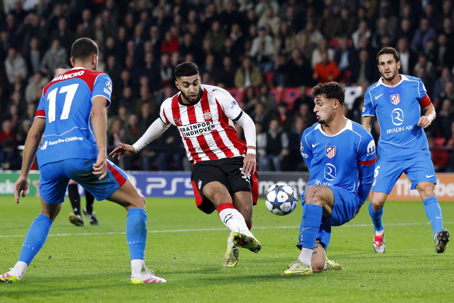 Nieuw Tijdlijn content