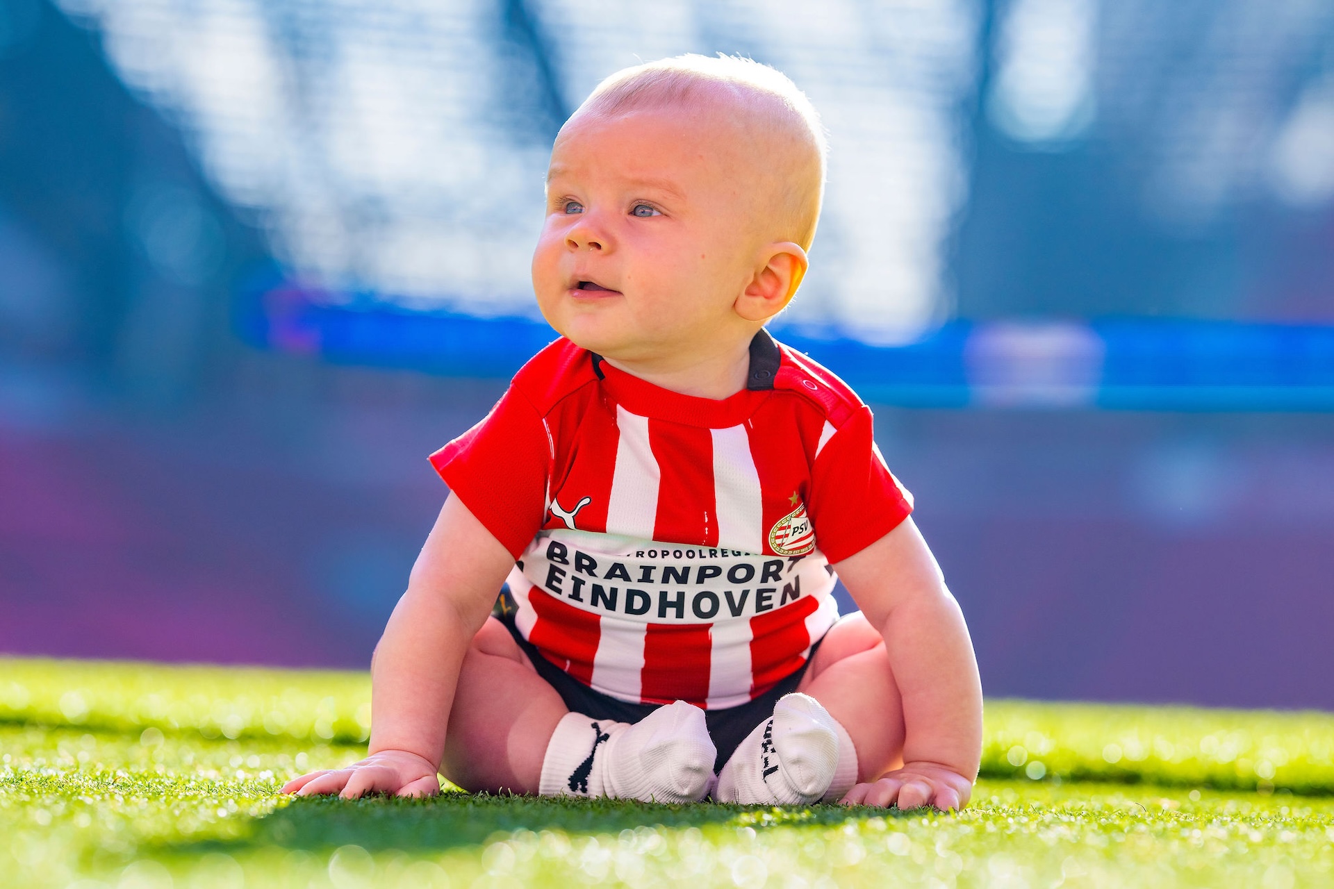 FANclub | Wie wordt PSV-baby van het jaar?