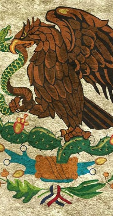 Bezoek tentoonstelling Mexico in Eindhoven! 